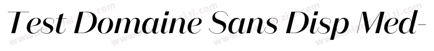 Test Domaine Sans Disp Med字体转换